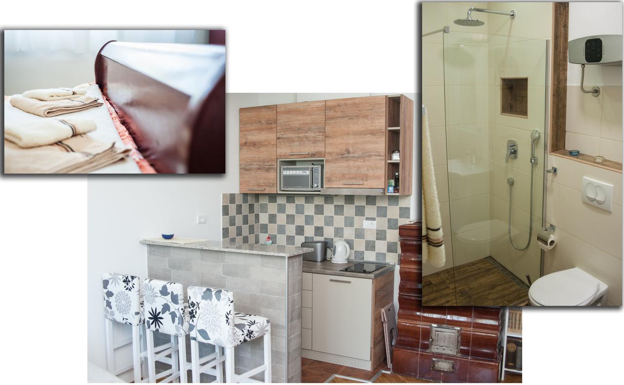Apartments Dorcol بلغراد المظهر الخارجي الصورة